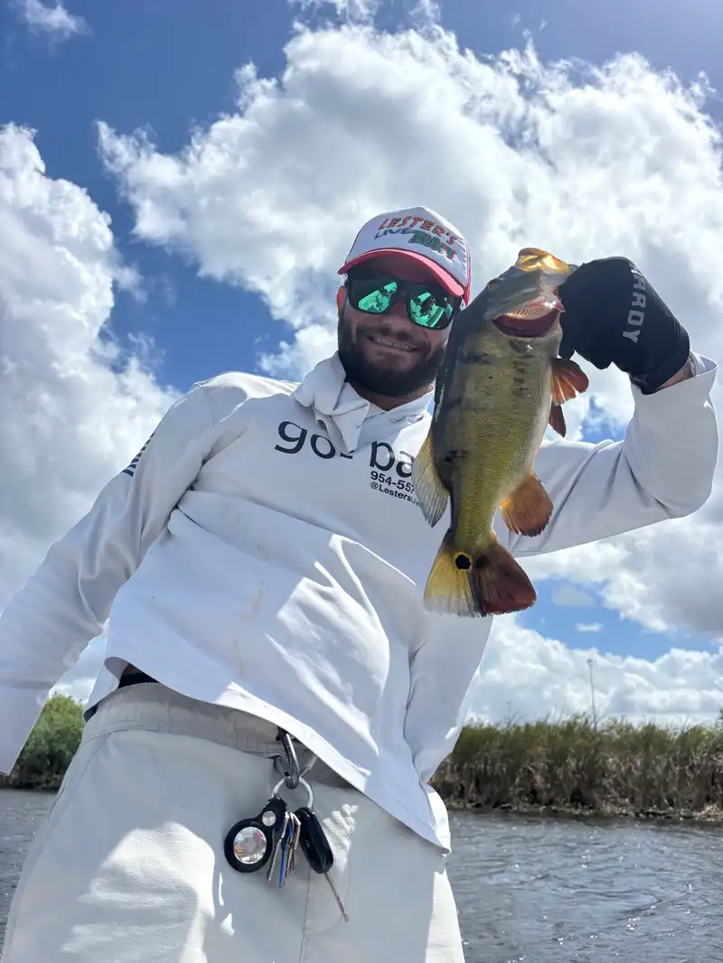 Peacock bass caught in the Florida Everglades