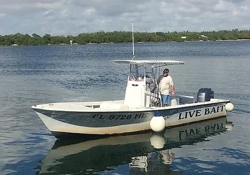 Live bait 3 at Haulover Inlet Miami