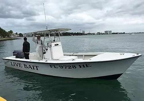 Live bait 6 at Haulover Inlet Miami
