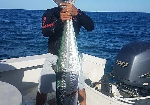 Fishing charters North Miami