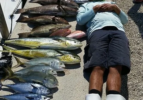 Fishing charter catch 2 at Haulover Inlet Miami