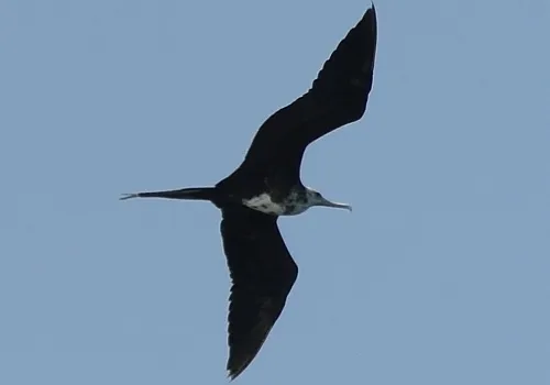 Fishing charter catch 12 at Haulover Inlet Miami