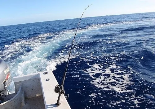 Fishing charter catch 16 at Haulover Inlet Miami