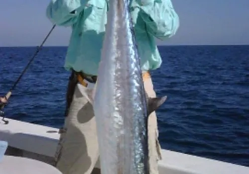 Fishing charter catch 18 at Haulover Inlet Miami