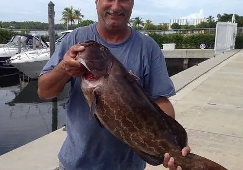 Fishing charter catch 21 at Haulover Inlet Miami